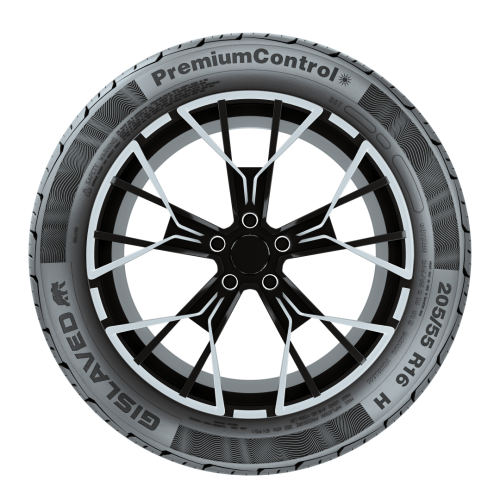 GISLAVED 205/55 R16 91 H PremiumControl TL Автошина фото в шинном центре Cordiant г. Пятигорск
